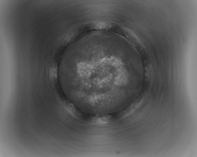X0000112030368200908171455