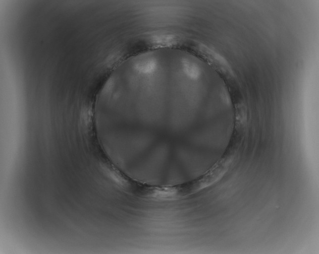 X0000112030369200908171456
