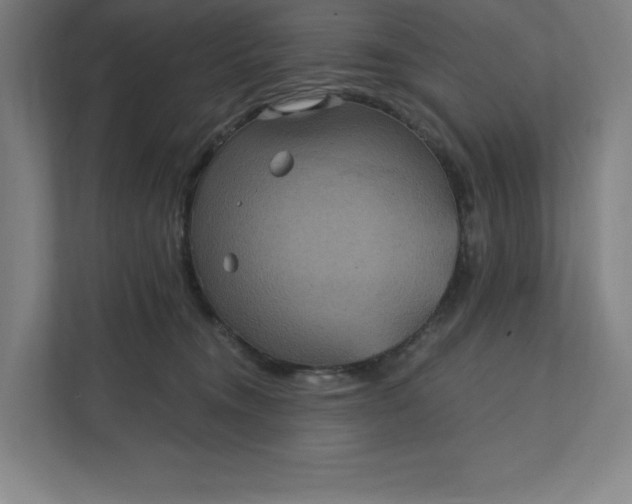 X0000112030372200908171456