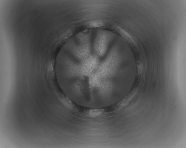 X0000112030373200908171456