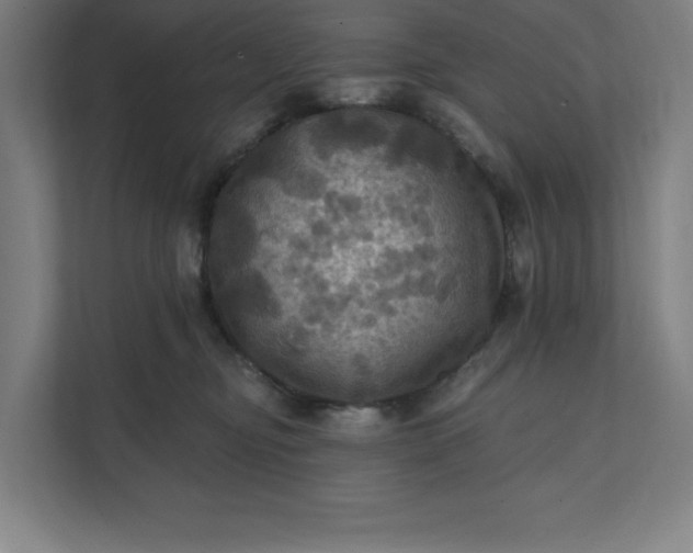 X0000112030374200908171456