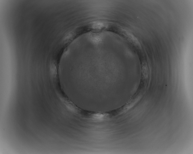 X0000112030375200908171456