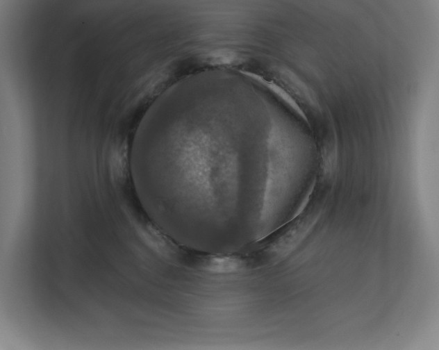 X0000112030376200908171456