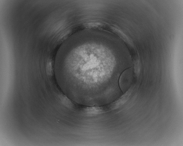 X0000112030378200908171456