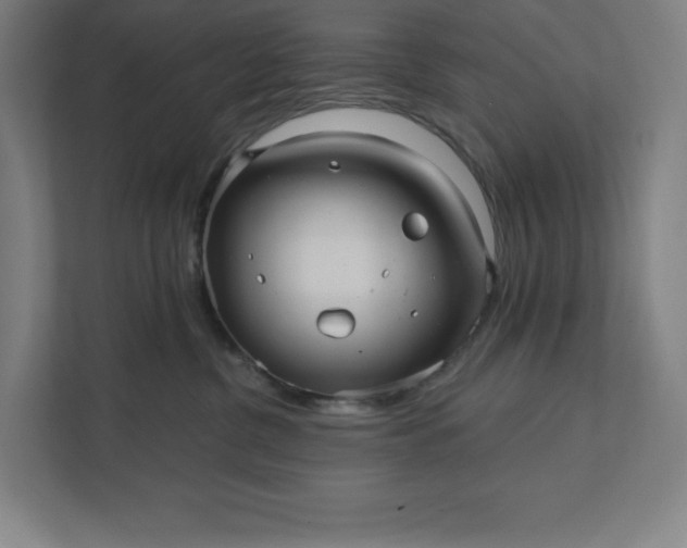 X0000112030380200908171456