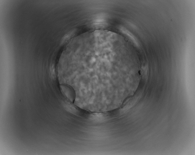 X0000112030381200908171456