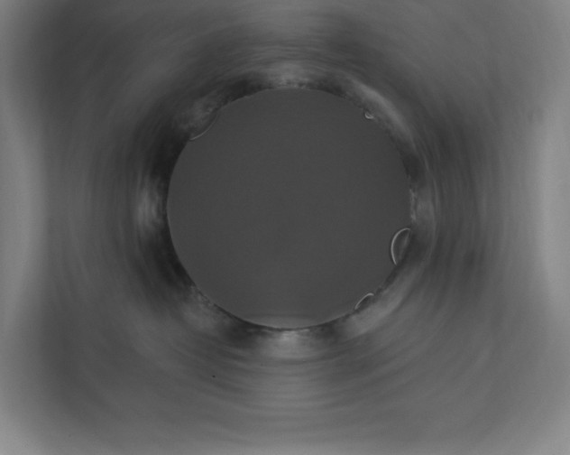 X0000112030382200908171456