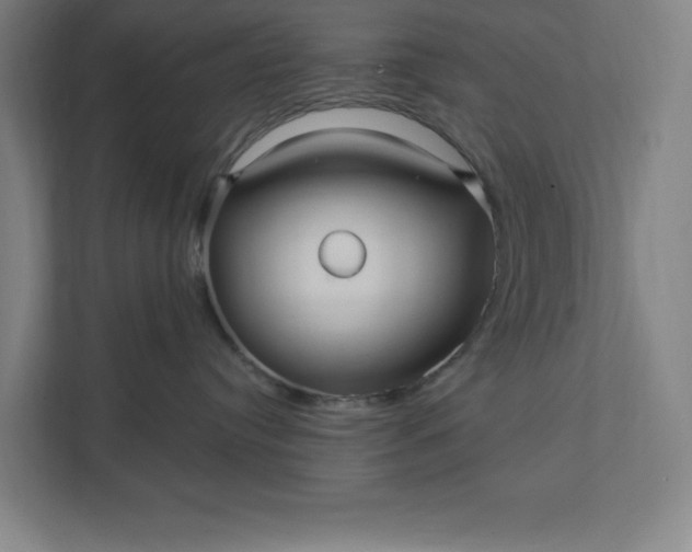 X0000112030384200908171456