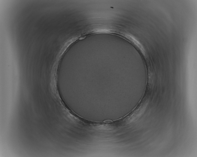 X0000112030385200908171455