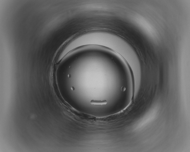 X0000112030387200908171455
