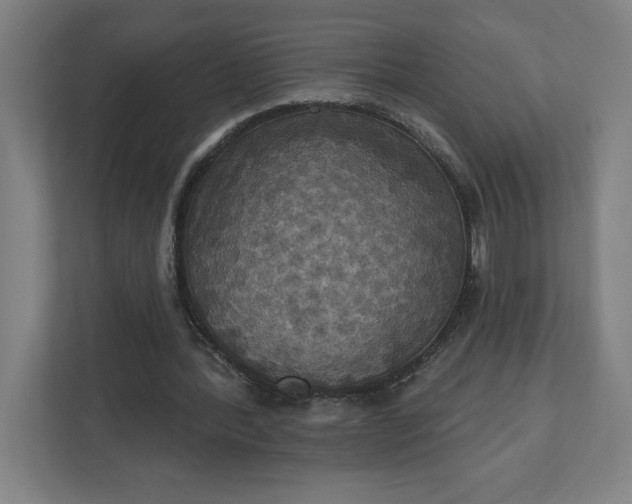 X0000112030388200908171455