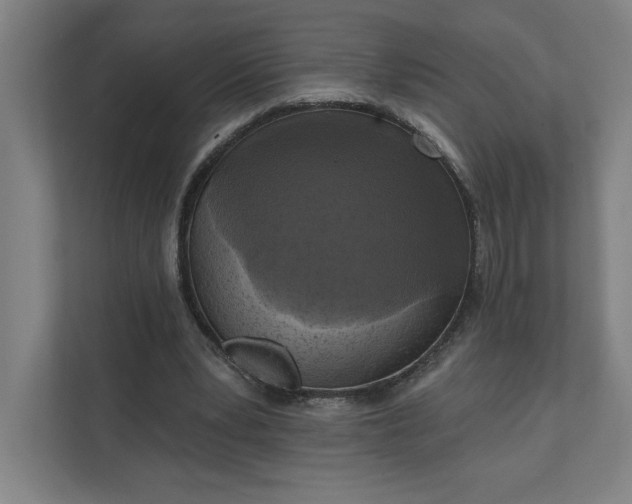 X0000112030391200908171455