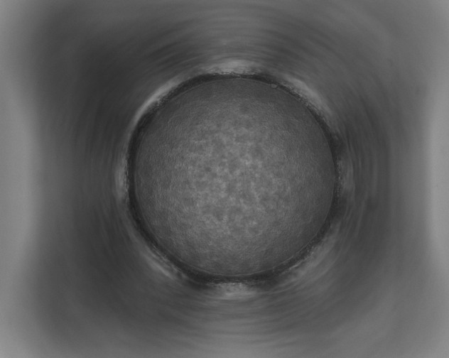 X0000112030392200908171455