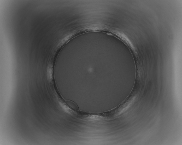 X0000112030393200908171455