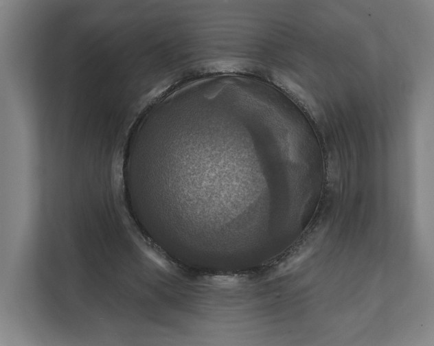 X0000112030394200908171455