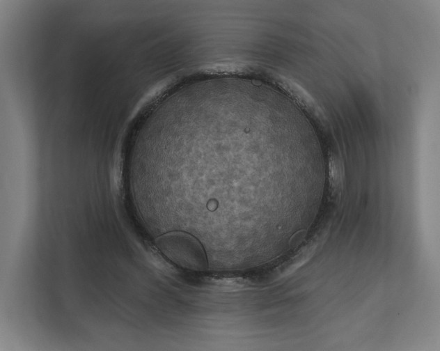 X0000112030396200908171455