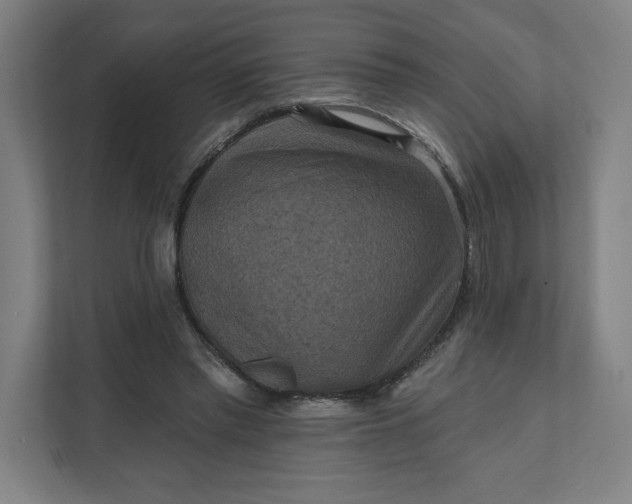 X0000112030397200908171455