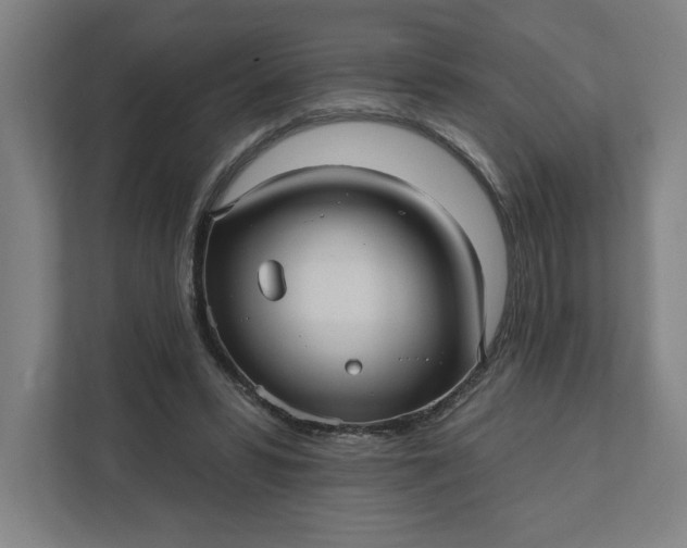 X0000112030399200908171455