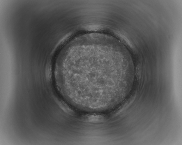 X0000112030400200908171455