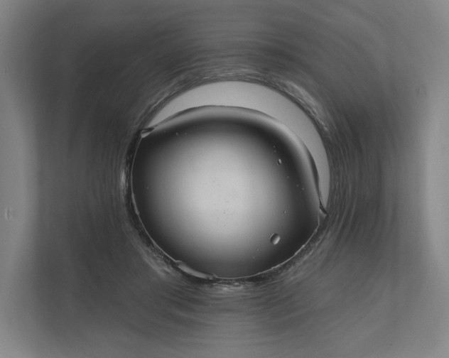 X0000112030405200908171455