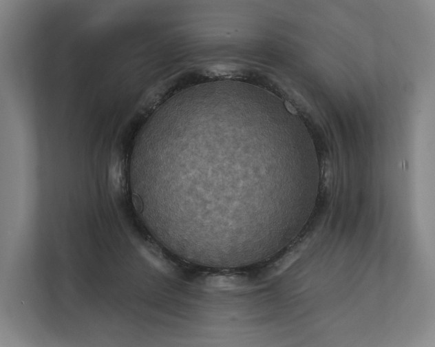 X0000112030408200908171455