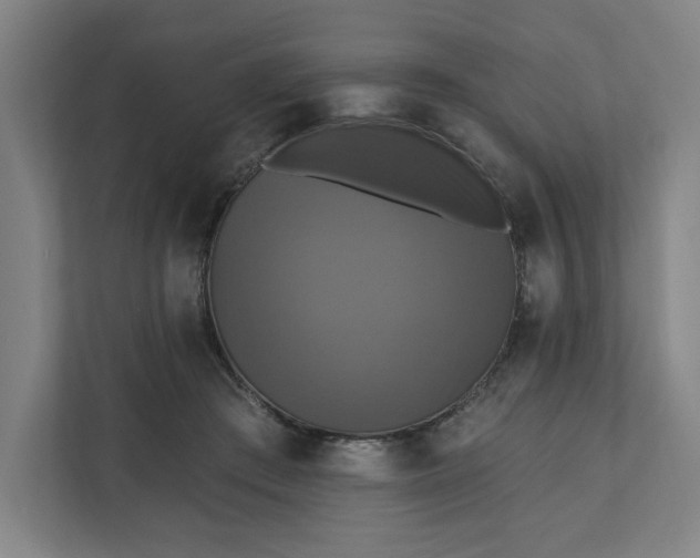 X0000112030409200908171455