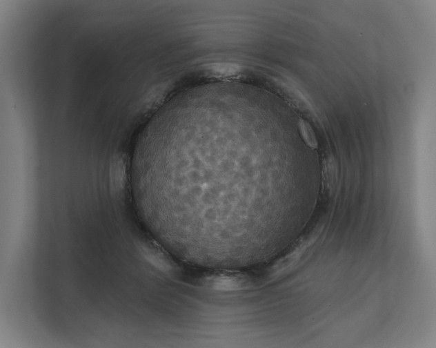 X0000112030412200908171455