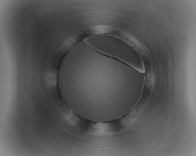 X0000112030413200908171455