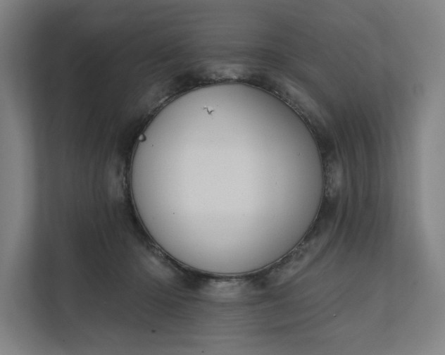 X0000112030414200908171455