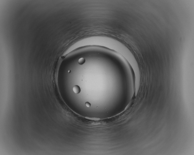 X0000112030415200908171455