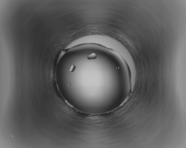 X0000112030417200908171455