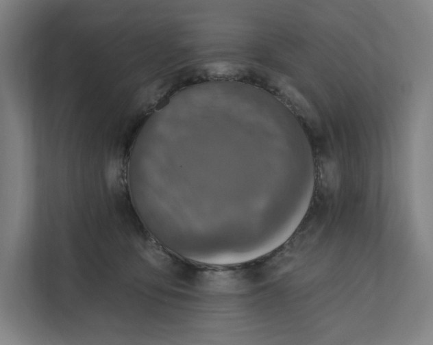 X0000112030419200908171455