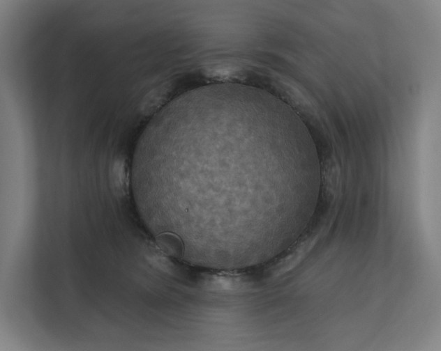 X0000112030420200908171455