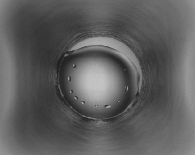 X0000112030421200908171455