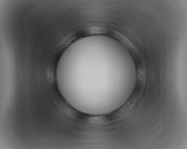X0000112030422200908171455
