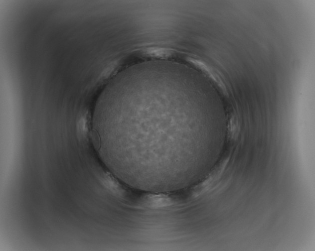 X0000112030424200908171455