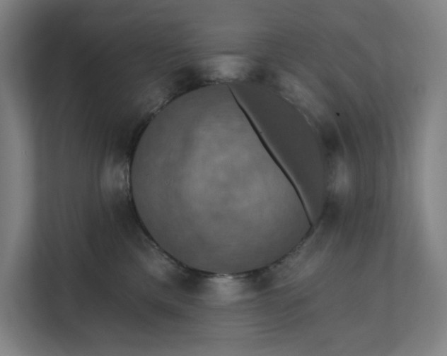 X0000112030425200908171455