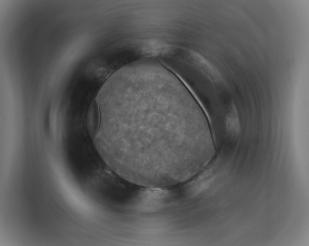 X0000112030429200908171455