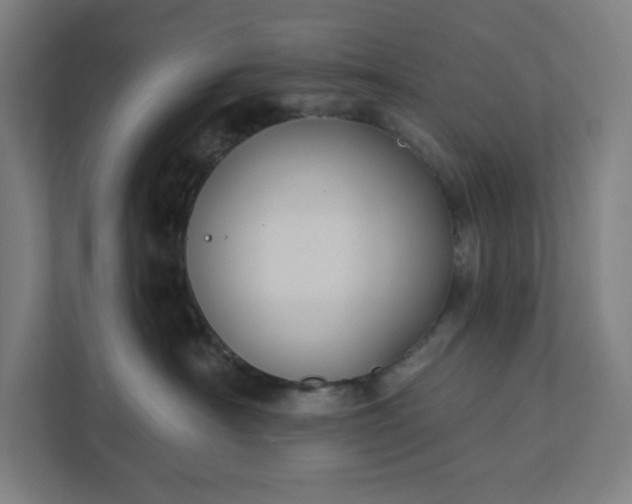 X0000112030430200908171454