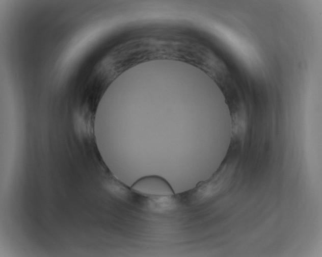 X0000112030431200908171454