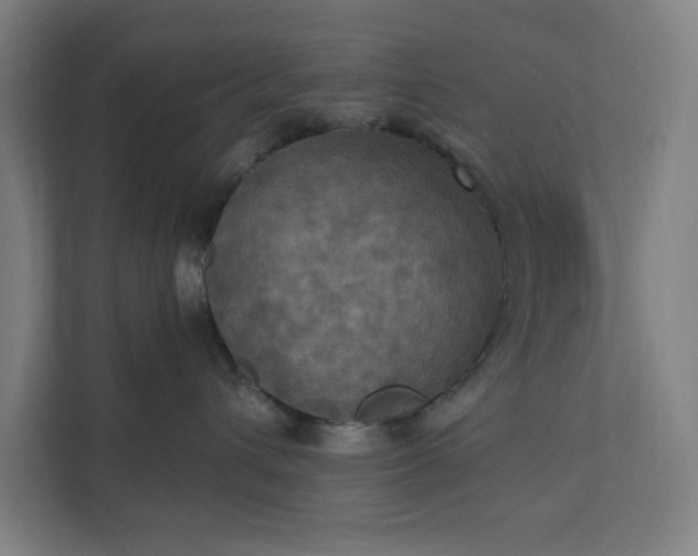 X0000112030432200908171454