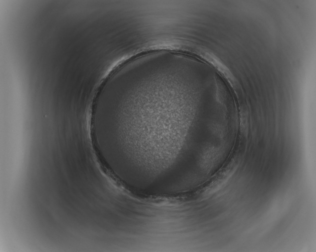 X0000112030434200908171454