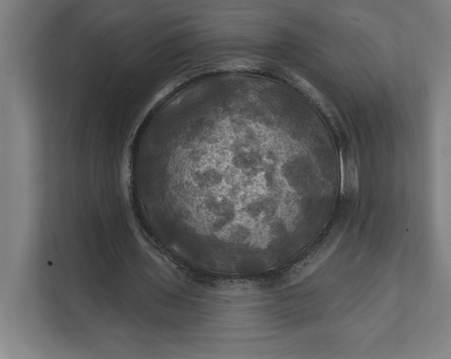 X0000112030435200908171454