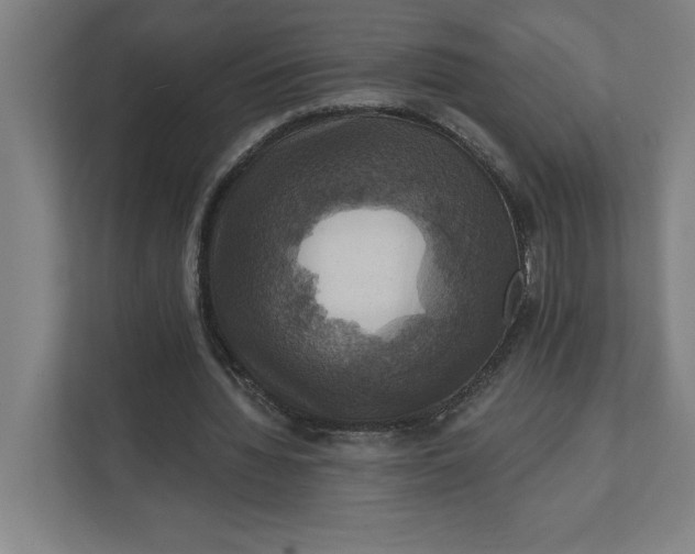 X0000112030436200908171454