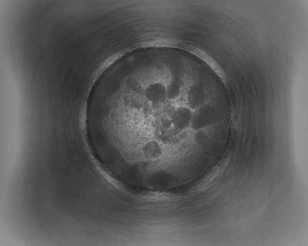 X0000112030437200908171454