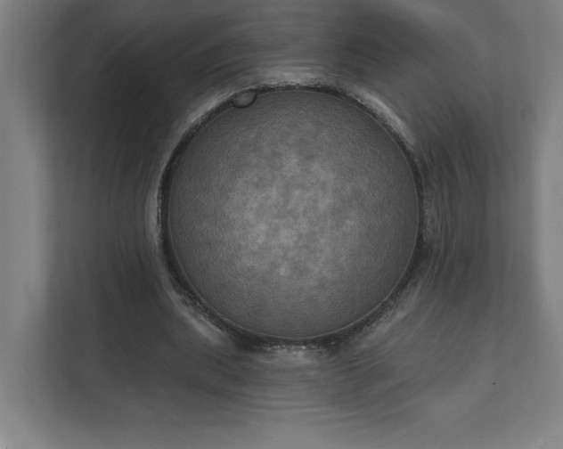 X0000112030439200908171454