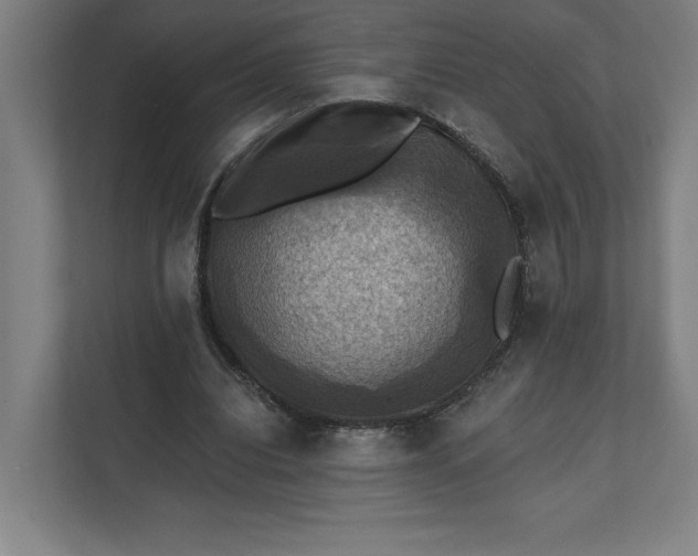 X0000112030440200908171454