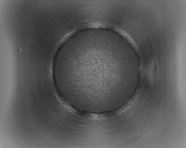 X0000112030442200908171454