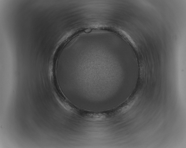 X0000112030443200908171454