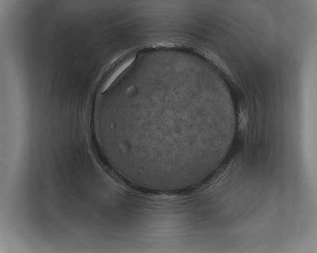 X0000112030444200908171454